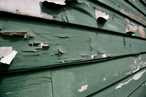 Best Hoarding Cleanup  in Point Roberts, WA